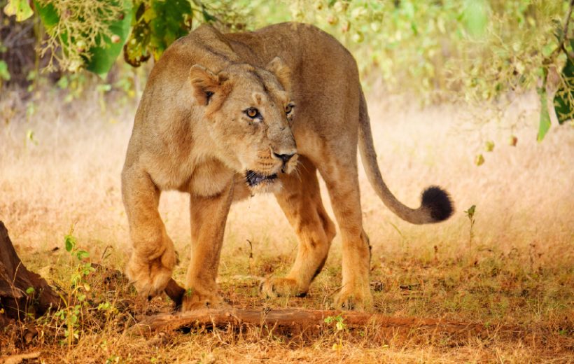 Kenya’s Hidden Wonders