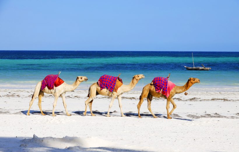 Diani Beach Holiday Packages - South Coast Mombasa