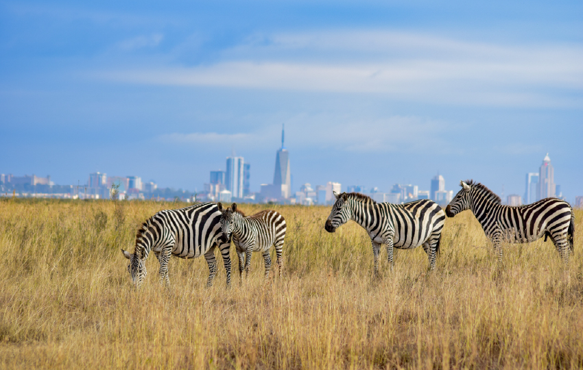 Nairobi National Park