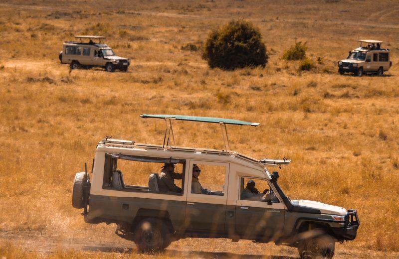 Tsavo East, Amboseli, Lake Nakuru & Masai Mara