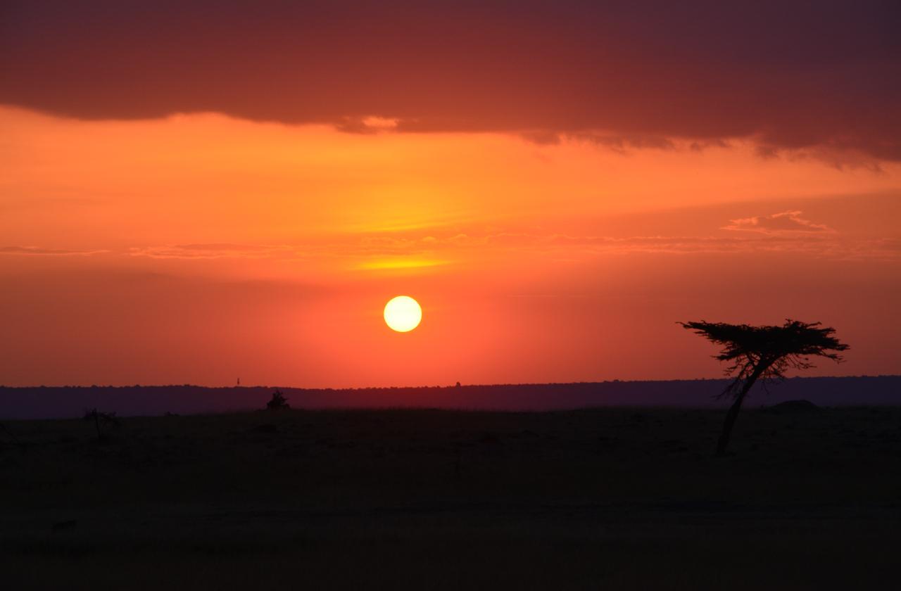 Sundowners