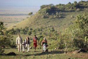 How To Book Safari