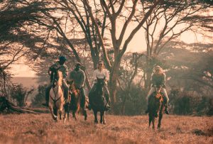 How To Book Safari