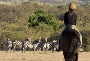 Tailor Made Safari Experiences