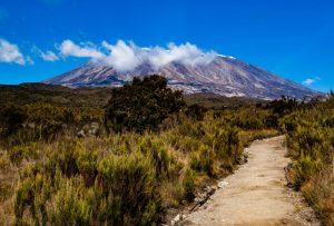 Best Time For Kenya Safari