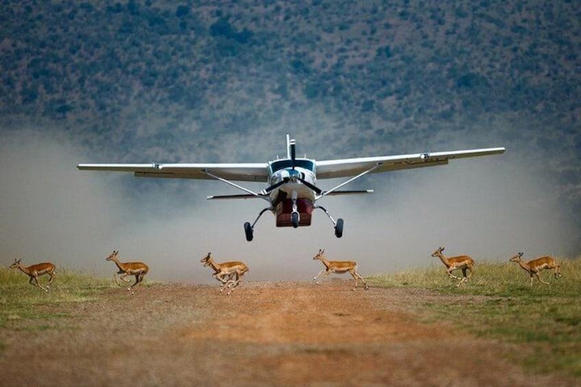 Wildebeest Migration Flying Safari